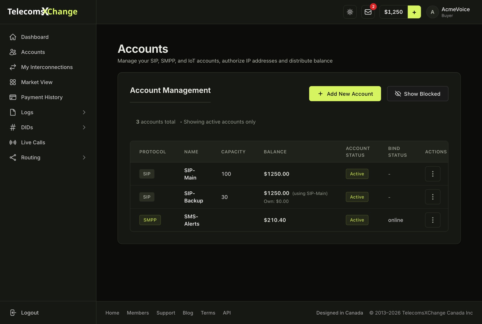 The Accounts list with protocol, capacity, balance and status columns