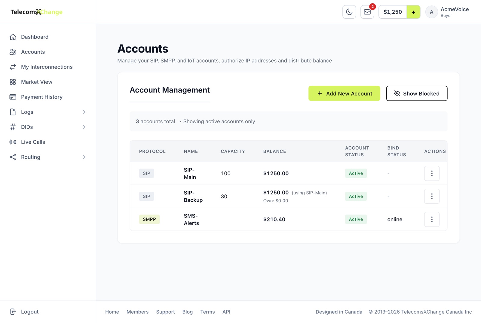 The Accounts list with protocol, capacity, balance and status columns